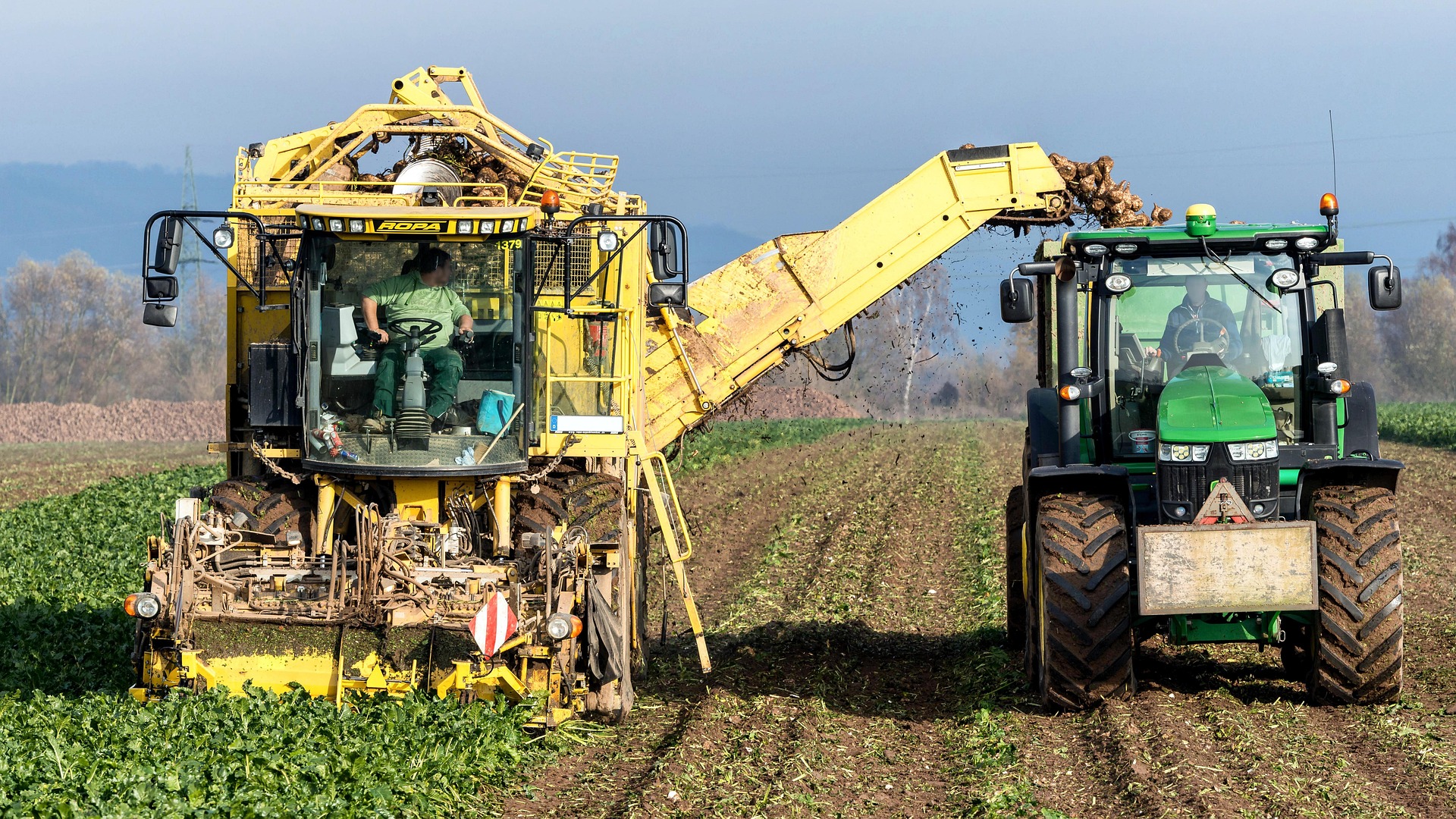 Agricultural field with a combine harvester